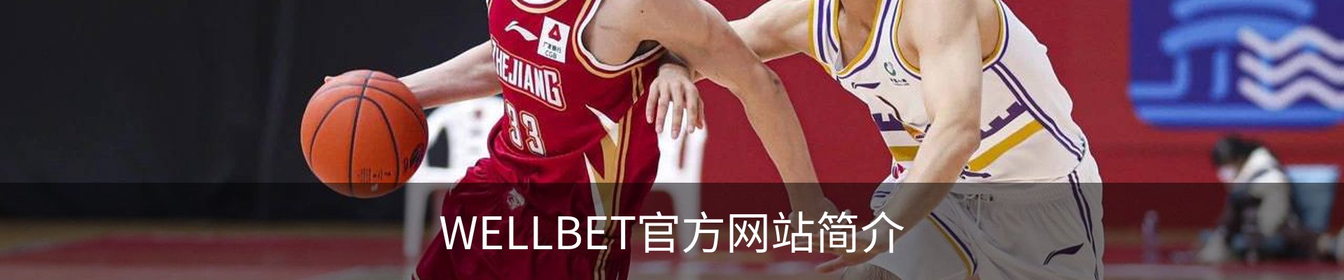 WELLBET官方网站简介